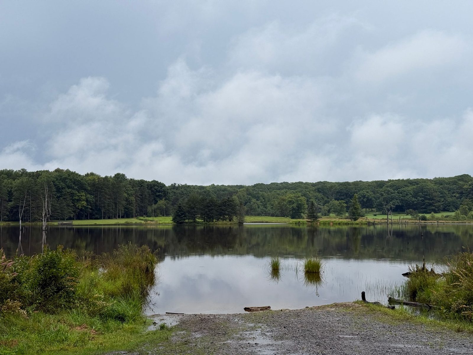 A quiet pond edged by forest and pasture in the Pennsylvania highlands